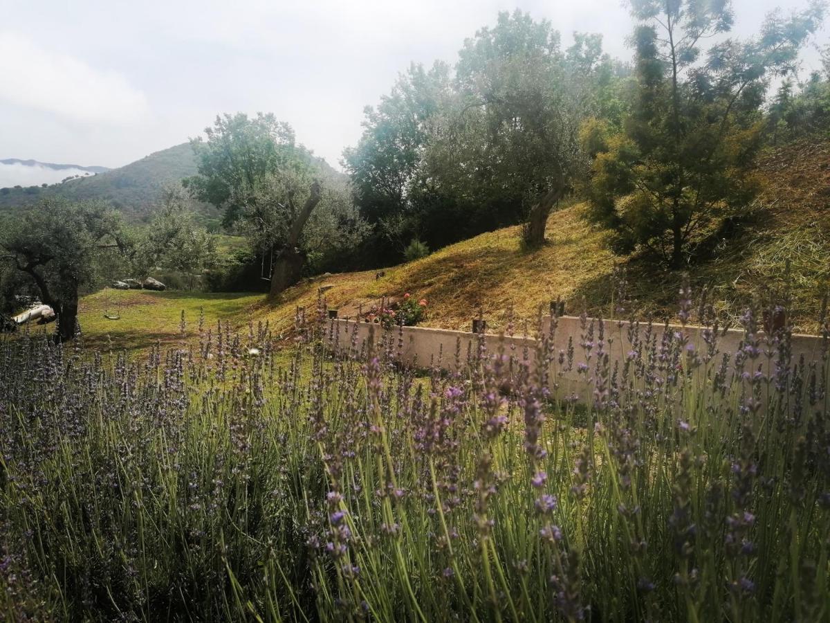 L'Opuntia Sul Lago Caccamo Eksteriør billede